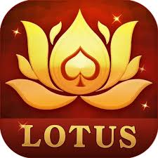rummy gold customer care download